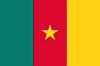 Bandiera - Camerun