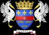 Bandiera - Saint-Barthelemy